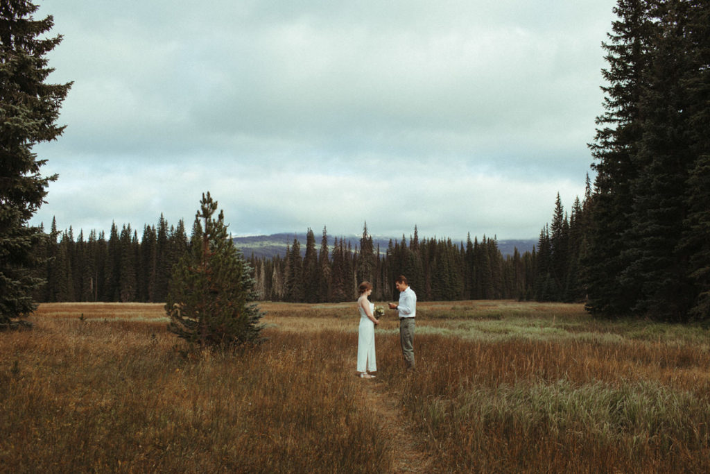 couple shares their wedding vows in a meadows near mt adams